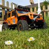 Offroad Hawk