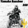 Banshee350